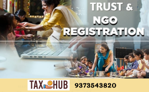Trust And NGO Tax Services